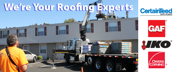 roofing experts